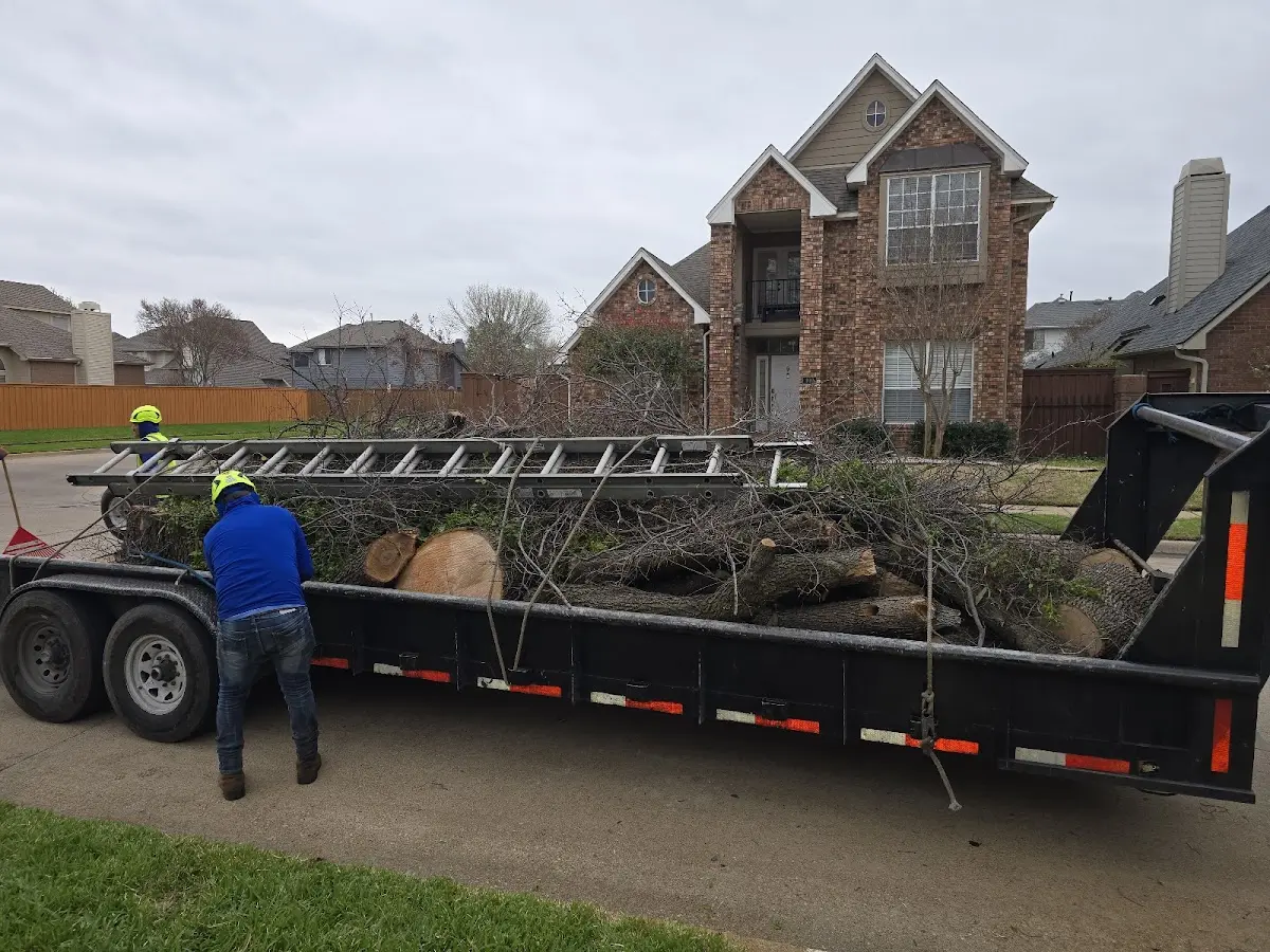 Expert Lot Clearing with proper safety equipment in Willow Beach
